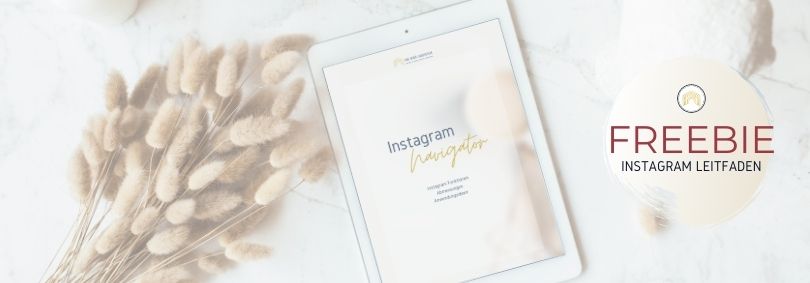 Instagram Navigator - zum FREEBIE